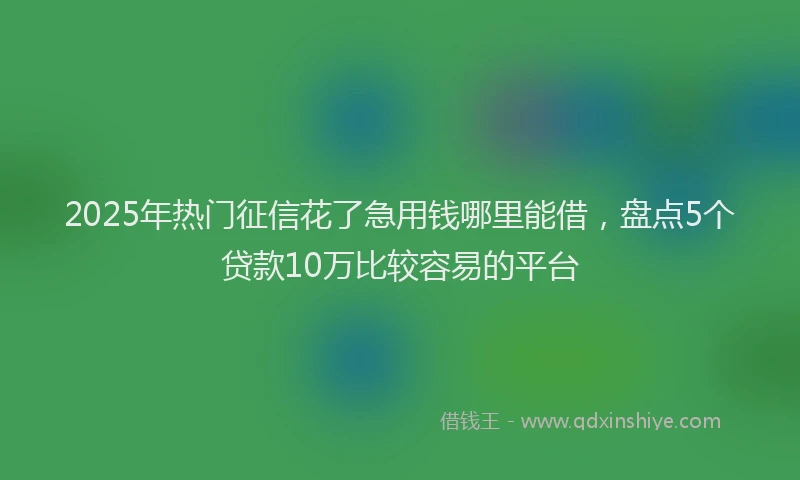 2025年热门征信花了急用钱哪里能借，盘点5个贷款10万比较容易的平台