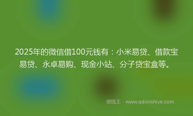 2025年的微信借100元钱有：小米易贷、借款宝易贷、永卓易购、现金小站、分子贷宝盒等。