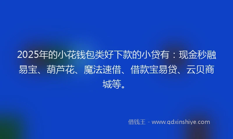 2025年的小花钱包类好下款的小贷有：现金秒融易宝、葫芦花、魔法速借、借款宝易贷、云贝商城等。