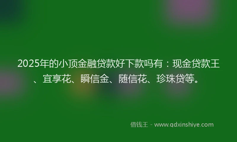 2025年的小顶金融贷款好下款吗有：现金贷款王、宜享花、瞬信金、随信花、珍珠贷等。