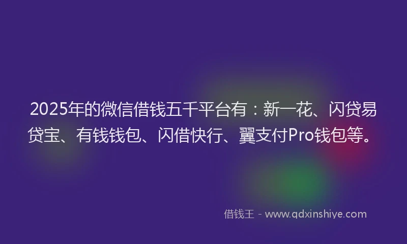 2025年的微信借钱五千平台有：新一花、闪贷易贷宝、有钱钱包、闪借快行、翼支付Pro钱包等。