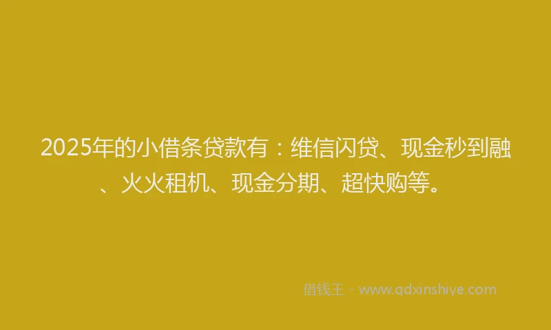 2025年的小借条贷款有：维信闪贷、现金秒到融、火火租机、现金分期、超快购等。