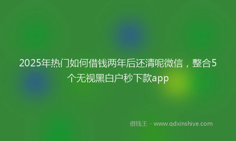 2025年热门如何借钱两年后还清呢微信，整合5个无视黑白户秒下款app