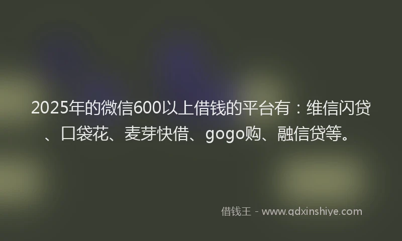 2025年的微信600以上借钱的平台有：维信闪贷、口袋花、麦芽快借、gogo购、融信贷等。