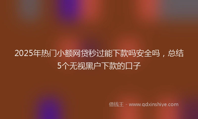 2025年热门小额网贷秒过能下款吗安全吗，总结5个无视黑户下款的口子