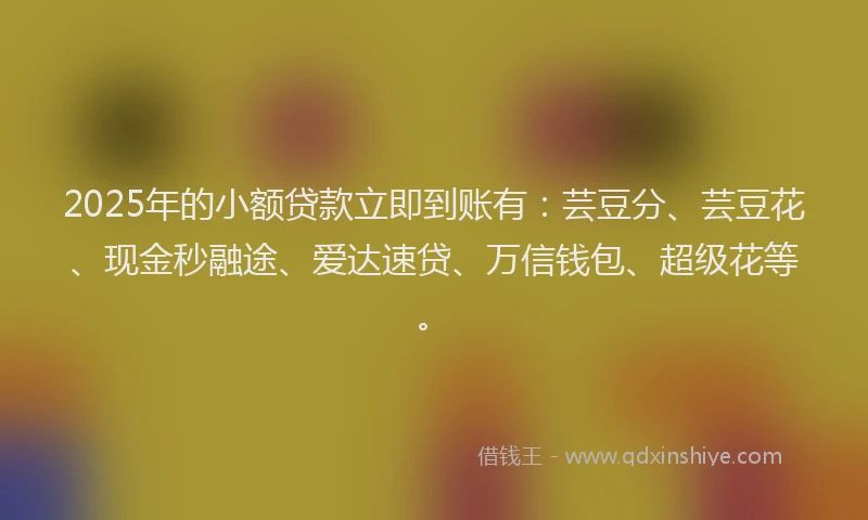 2025年的小额贷款立即到账有：芸豆分、芸豆花、现金秒融途、爱达速贷、万信钱包、超级花等。
