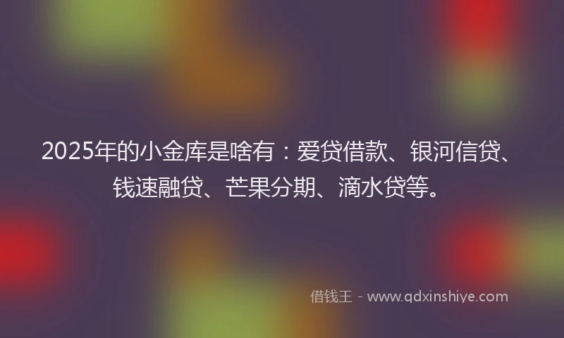 2025年的小金库是啥有：爱贷借款、银河信贷、钱速融贷、芒果分期、滴水贷等。