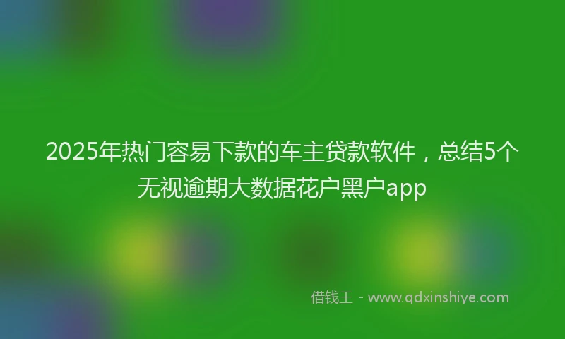2025年热门容易下款的车主贷款软件，总结5个无视逾期大数据花户黑户app