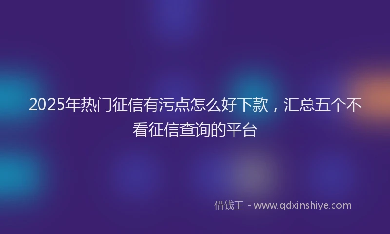 2025年热门征信有污点怎么好下款，汇总五个不看征信查询的平台