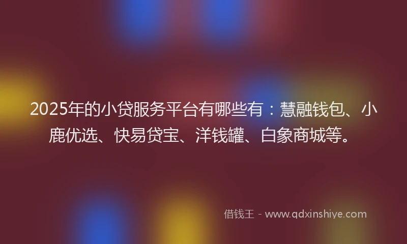 2025年的小贷服务平台有哪些有：慧融钱包、小鹿优选、快易贷宝、洋钱罐、白象商城等。