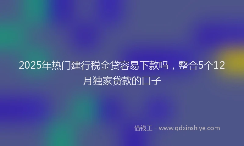 2025年热门建行税金贷容易下款吗，整合5个12月独家贷款的口子