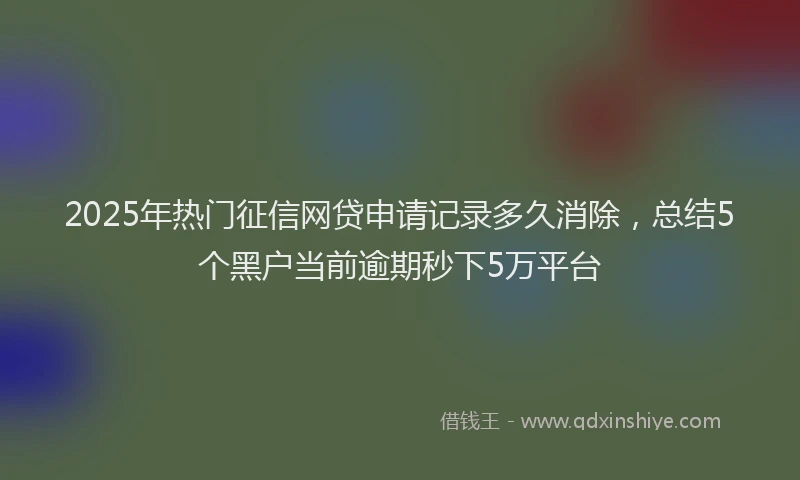 2025年热门征信网贷申请记录多久消除，总结5个黑户当前逾期秒下5万平台