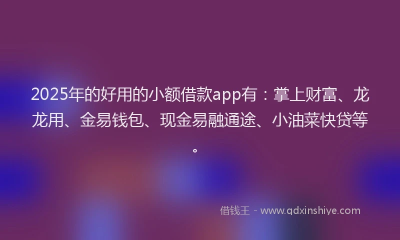 2025年的好用的小额借款app有：掌上财富、龙龙用、金易钱包、现金易融通途、小油菜快贷等。