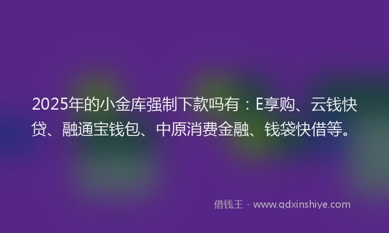 2025年的小金库强制下款吗有：E享购、云钱快贷、融通宝钱包、中原消费金融、钱袋快借等。