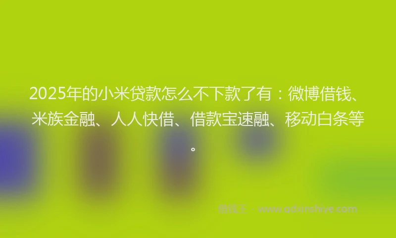 2025年的小米贷款怎么不下款了有：微博借钱、米族金融、人人快借、借款宝速融、移动白条等。