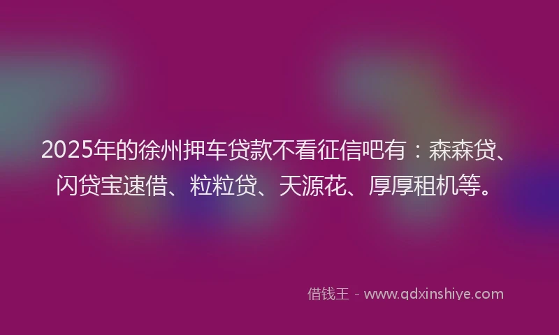 2025年的徐州押车贷款不看征信吧有：森森贷、闪贷宝速借、粒粒贷、天源花、厚厚租机等。