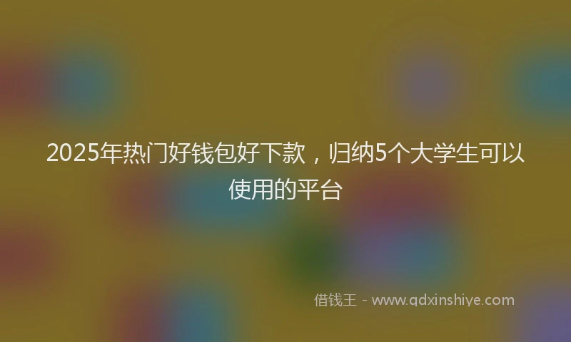 2025年热门好钱包好下款，归纳5个大学生可以使用的平台