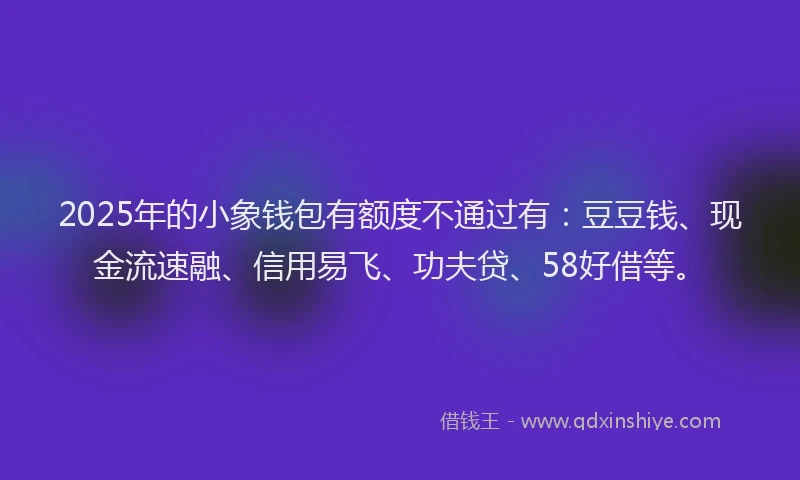 2025年的小象钱包有额度不通过有：豆豆钱、现金流速融、信用易飞、功夫贷、58好借等。