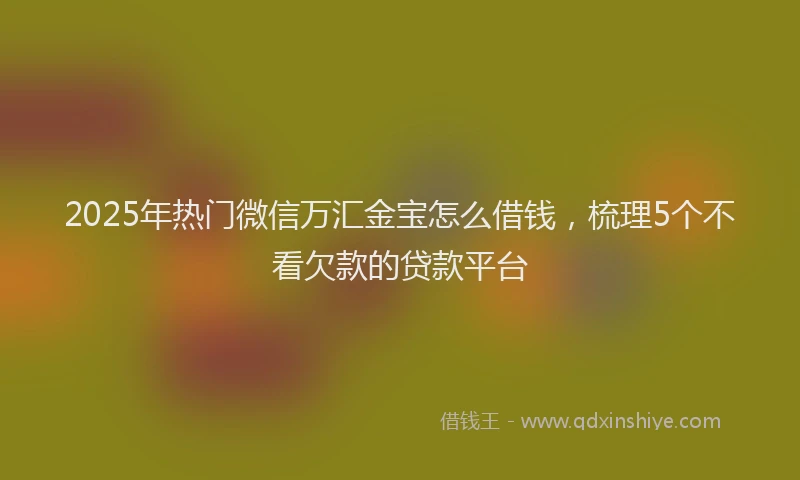 2025年热门微信万汇金宝怎么借钱，梳理5个不看欠款的贷款平台