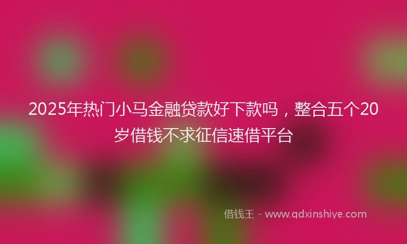 2025年热门小马金融贷款好下款吗，整合五个20岁借钱不求征信速借平台