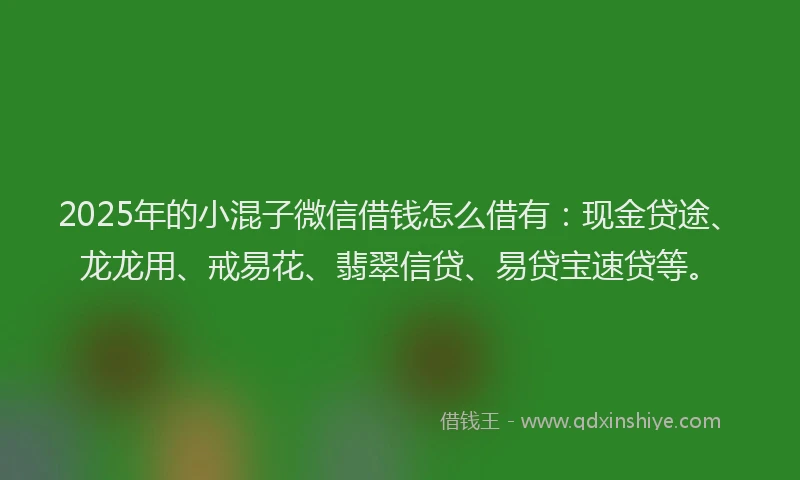 2025年的小混子微信借钱怎么借有：现金贷途、龙龙用、戒易花、翡翠信贷、易贷宝速贷等。