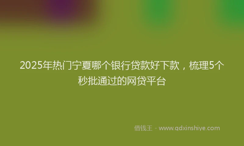 2025年热门宁夏哪个银行贷款好下款，梳理5个秒批通过的网贷平台