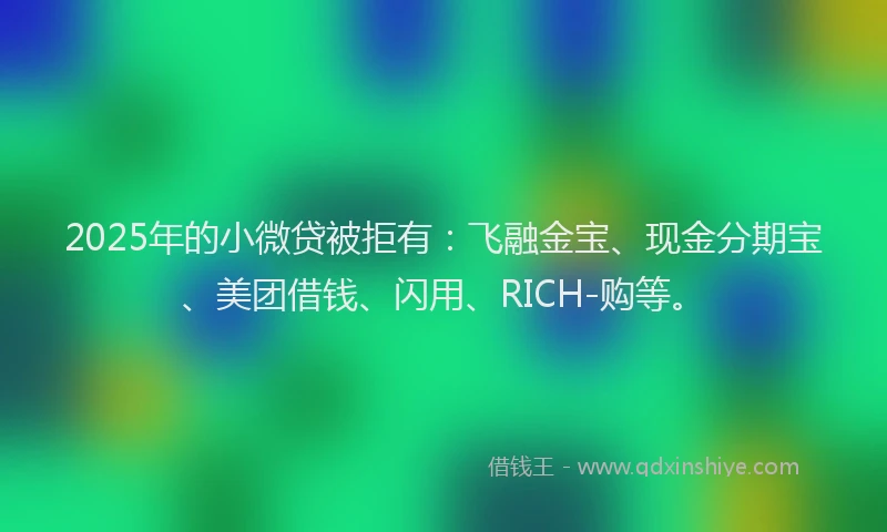 2025年的小微贷被拒有：飞融金宝、现金分期宝、美团借钱、闪用、RICH-购等。