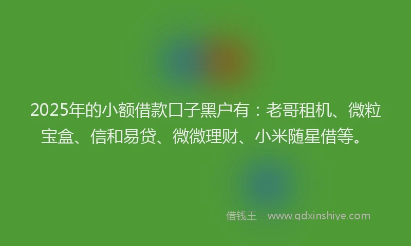 2025年的小额借款口子黑户有：老哥租机、微粒宝盒、信和易贷、微微理财、小米随星借等。