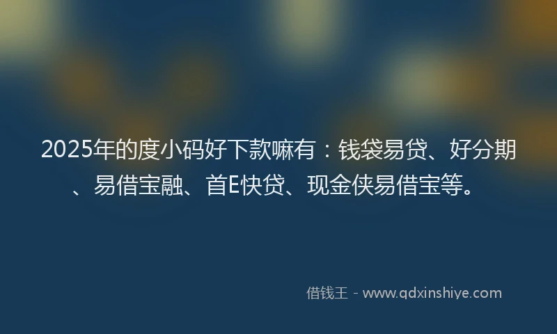 2025年的度小码好下款嘛有：钱袋易贷、好分期、易借宝融、首E快贷、现金侠易借宝等。