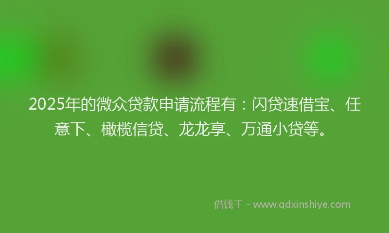 2025年的微众贷款申请流程有：闪贷速借宝、任意下、橄榄信贷、龙龙享、万通小贷等。