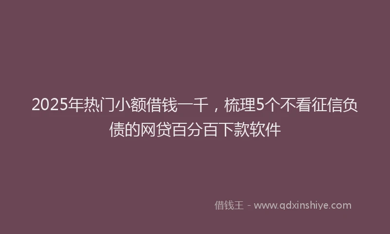 2025年热门小额借钱一千，梳理5个不看征信负债的网贷百分百下款软件