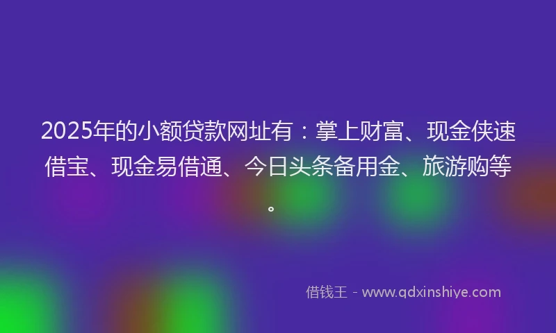 2025年的小额贷款网址有：掌上财富、现金侠速借宝、现金易借通、今日头条备用金、旅游购等。