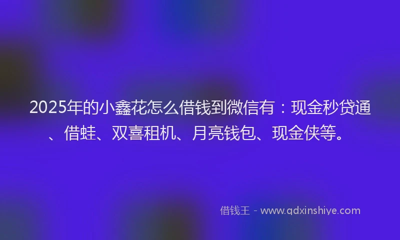 2025年的小鑫花怎么借钱到微信有：现金秒贷通、借蛙、双喜租机、月亮钱包、现金侠等。