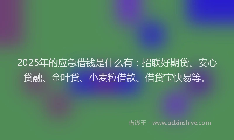 2025年的应急借钱是什么有：招联好期贷、安心贷融、金叶贷、小麦粒借款、借贷宝快易等。