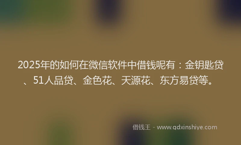 2025年的如何在微信软件中借钱呢有:金钥匙贷、51人品贷、金色花、天源花、东方易贷等。