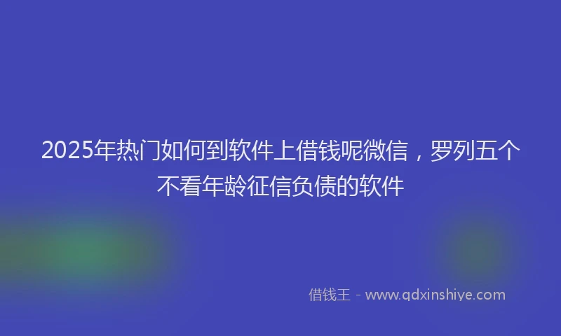 2025年热门如何到软件上借钱呢微信，罗列五个不看年龄征信负债的软件