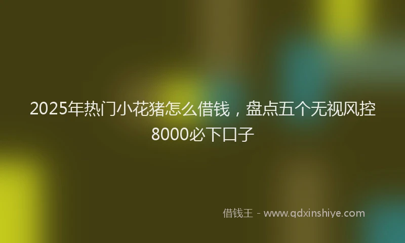 2025年热门小花猪怎么借钱，盘点五个无视风控8000必下口子