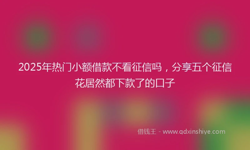 2025年热门小额借款不看征信吗，分享五个征信花居然都下款了的口子