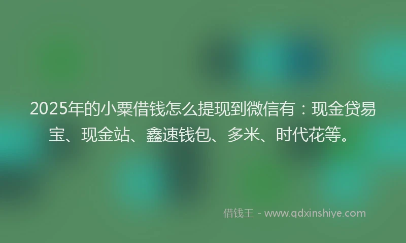 2025年的小粟借钱怎么提现到微信有：现金贷易宝、现金站、鑫速钱包、多米、时代花等。