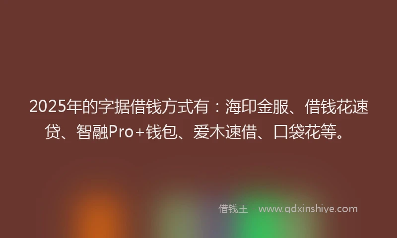 2025年的字据借钱方式有：海印金服、借钱花速贷、智融Pro+钱包、爱木速借、口袋花等。