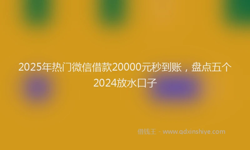 2025年热门微信借款20000元秒到账，盘点五个2024放水口子