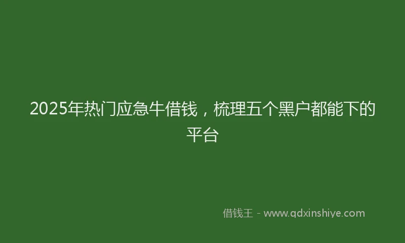 2025年热门应急牛借钱，梳理五个黑户都能下的平台