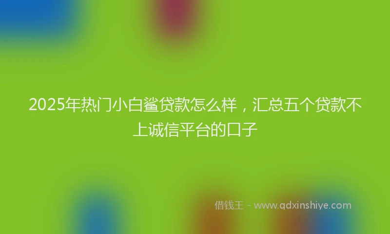 2025年热门小白鲨贷款怎么样，汇总五个贷款不上诚信平台的口子