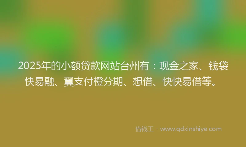 2025年的小额贷款网站台州有：现金之家、钱袋快易融、翼支付橙分期、想借、快快易借等。