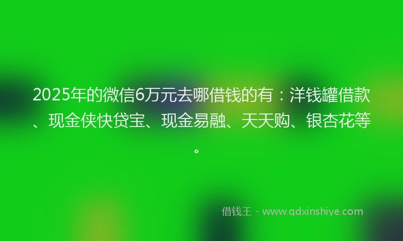 2025年的微信6万元去哪借钱的有：洋钱罐借款、现金侠快贷宝、现金易融、天天购、银杏花等。