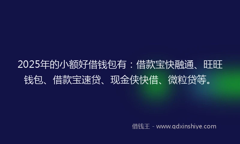 2025年的小额好借钱包有：借款宝快融通、旺旺钱包、借款宝速贷、现金侠快借、微粒贷等。