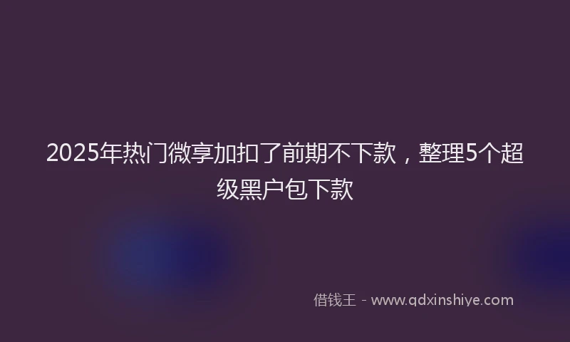 2025年热门微享加扣了前期不下款，整理5个超级黑户包下款