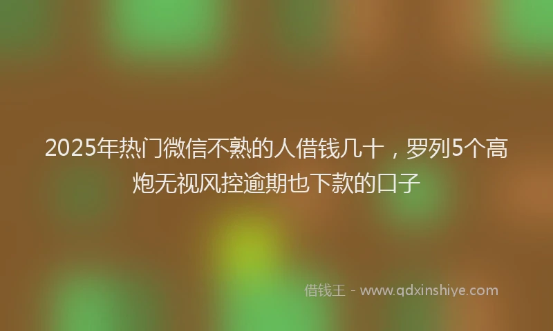2025年热门微信不熟的人借钱几十，罗列5个高炮无视风控逾期也下款的口子