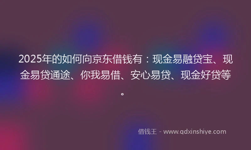 2025年的如何向京东借钱有：现金易融贷宝、现金易贷通途、你我易借、安心易贷、现金好贷等。