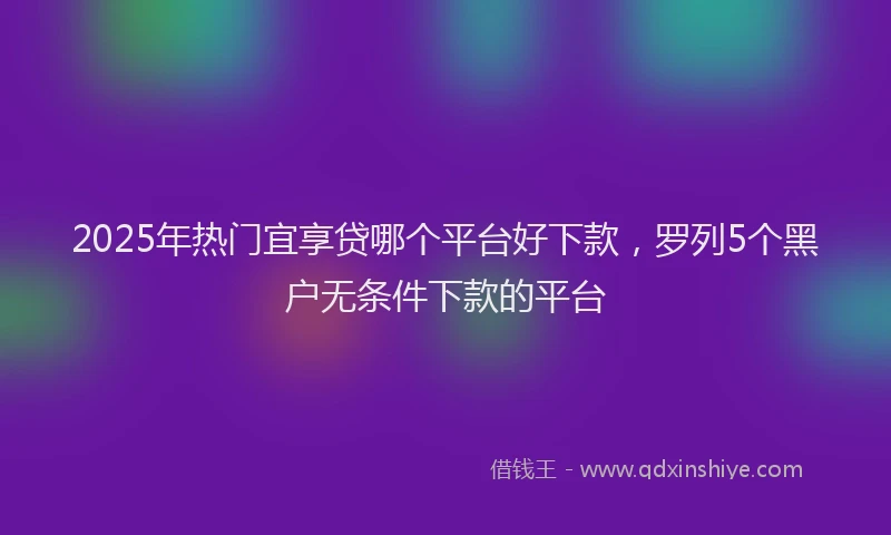 2025年热门宜享贷哪个平台好下款，罗列5个黑户无条件下款的平台